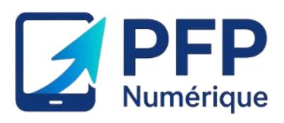 Pratique de formation professionnelle logo